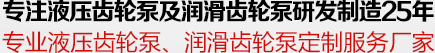 專注液壓齒輪及潤滑齒輪泵研發制造25年